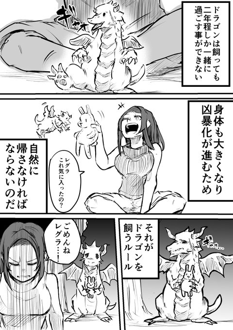 ドラゴンを飼うルール 
