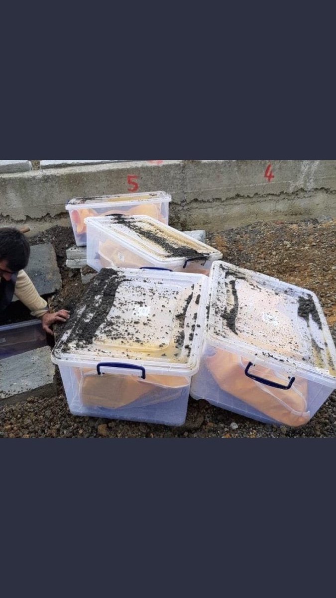 Suavi_Suavi's tweet photo. Ölüm bile utanmıştır.
Hangi inanç, hangi kitap, hangi toplum, hangi ideoloji ölüye bunu reva görebilir? https://t.co/2q3NE9NAEY