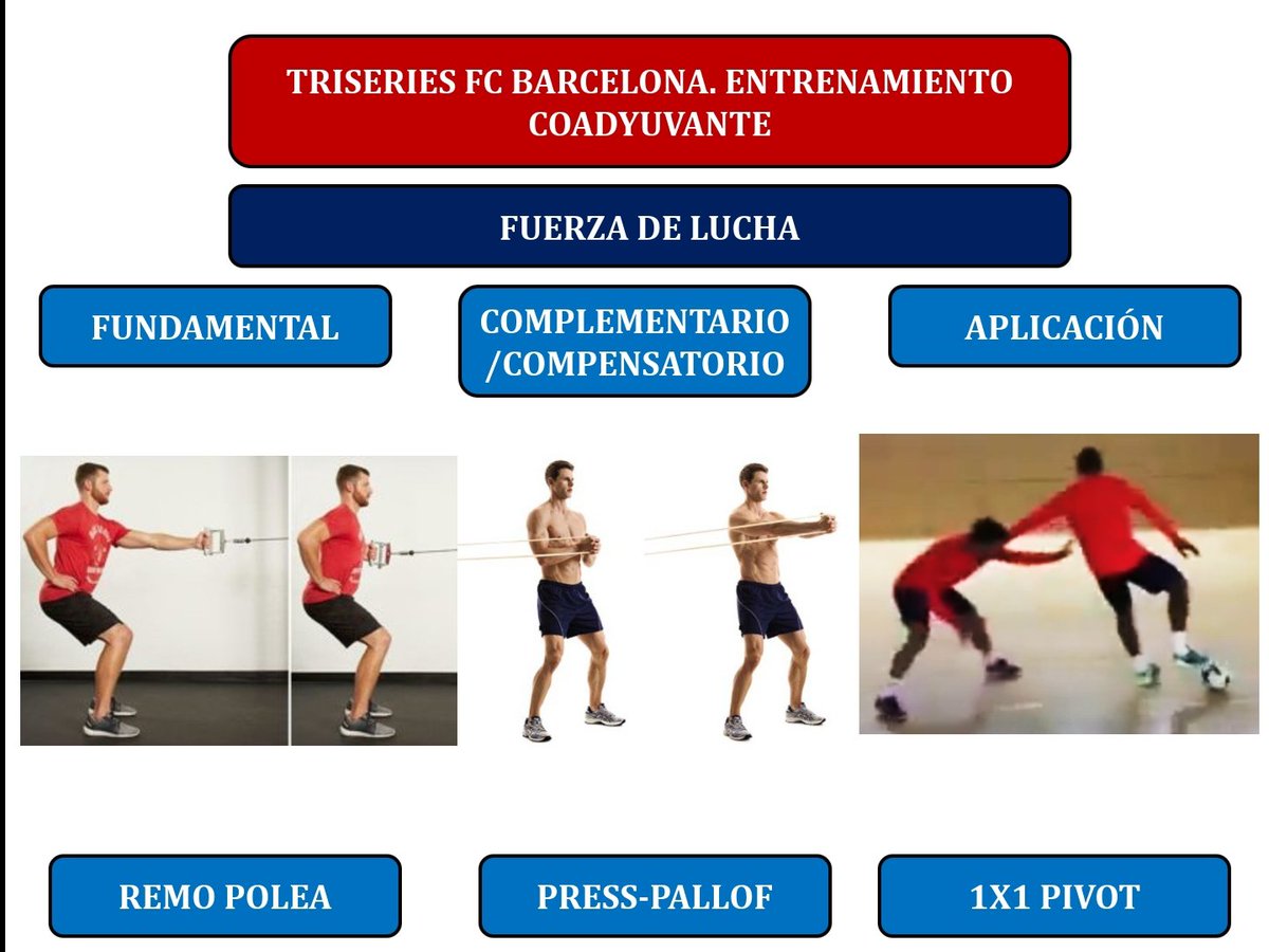 JaviFerrer1110's tweet photo. ➡️ CUALIDADES ESPECÍFICAS EN EL FÚTBOL ⚽️
Entrenamiento Coadyuvante @FCBarcelona_es modelo triseries.
Obtenido y modificado de la charla de @ErikRoqueta en @RealtrackSystem . Espero que os sea de ayuda 🏋🏻‍♂️ https://t.co/U6gTcVL0Sx