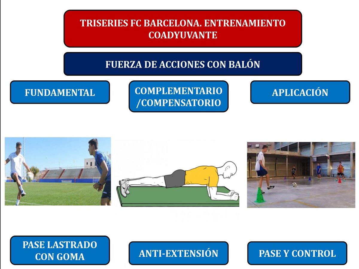 ➡️ CUALIDADES ESPECÍFICAS EN EL FÚTBOL ⚽️
Entrenamiento Coadyuvante <a href="/FCBarcelona_es/">FC Barcelona</a> modelo triseries.
Obtenido y modificado de la charla de <a href="/ErikRoqueta/">Erik Roqueta</a> en @RealtrackSystem . Espero que os sea de ayuda 🏋🏻‍♂️