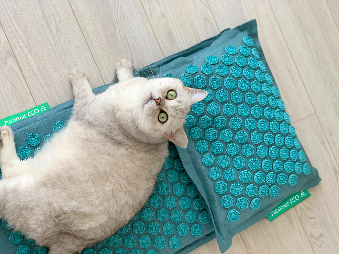 Review: The Ultimate Eco-Friendly Massage Mat: Pranamat Eco