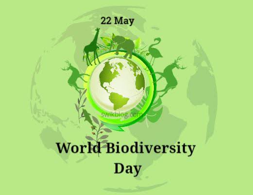 Bugün doğanın çocuklarının günü, farklı olan her tanesi önemli ve hepsi birbirinin kardeşi. Bizler de insanlar olarak bu çeşitliliğin sahibi değil bir parçasıyız. El ele verip geriye kalanları kurtarmak zamanı. #biodiversity #plantdiversity #ecosystemdiversity