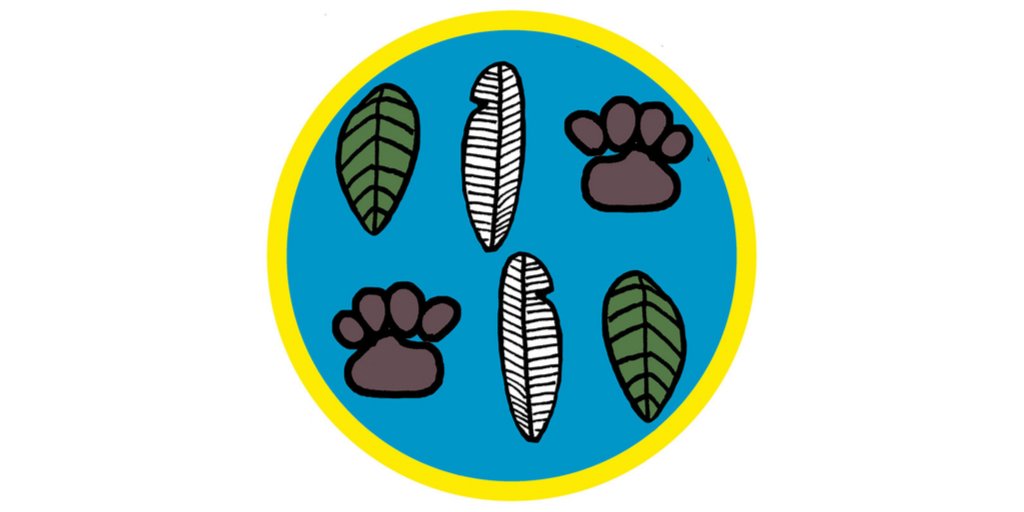 CitytoSea_'s tweet photo. Happy #BiodiversityDay💚🌱🐝"Biodiversity loss is a loss for humanity" It's important that we recognise this & work together to build a future in harmony with nature🌎
Ideas & inspiration for this in @nataliefee's #HowToSaveTheWorldForFree book
@UN @UNBiodiversity #biodiversity https://t.co/UoARBy2M5Q