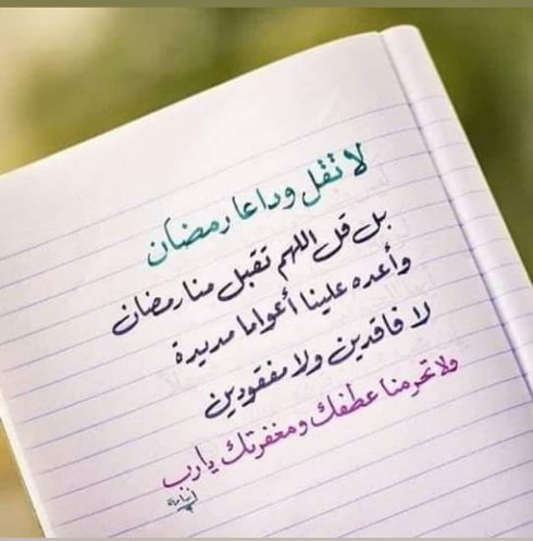 Youssef Aman (@youssefaman5) on Twitter photo 