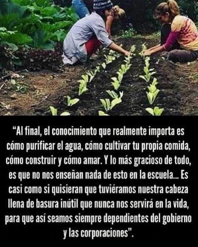 CAEUSB's tweet image. @CAEUSB