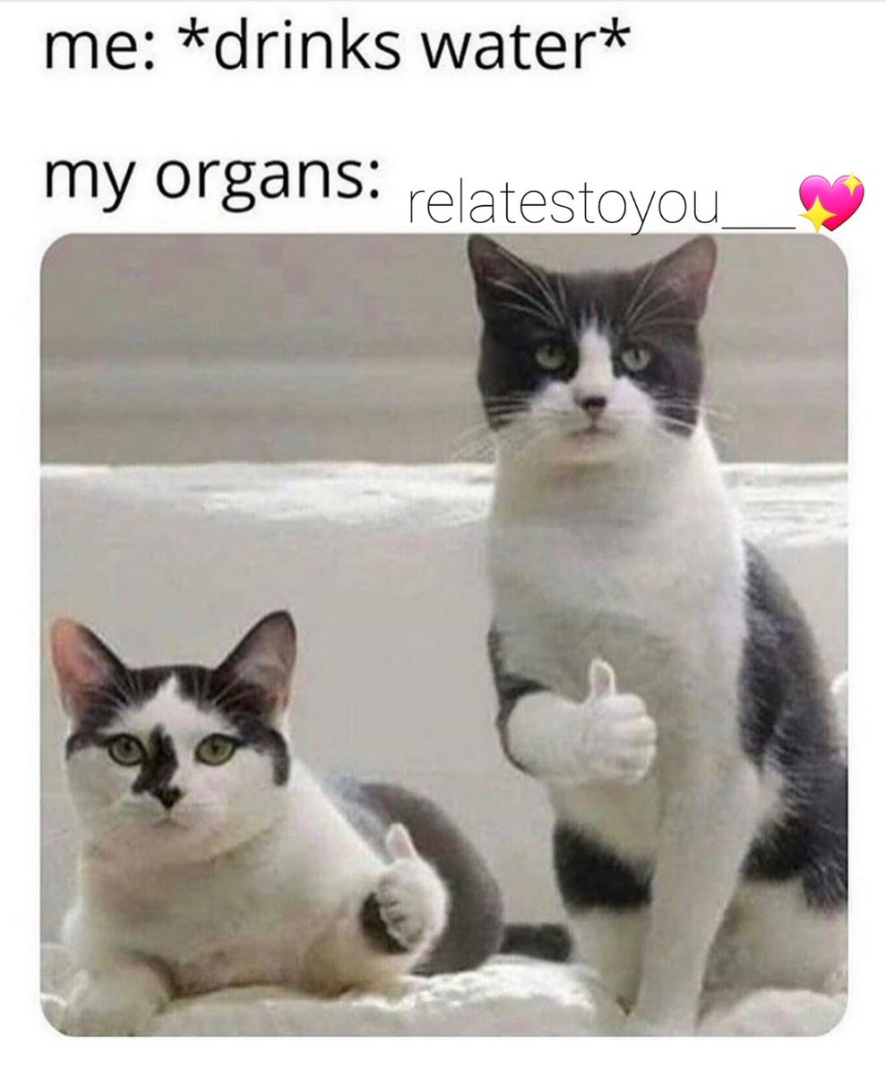 relatestoyou___'s tweet photo. https://t.co/MyfN9nlOV8
