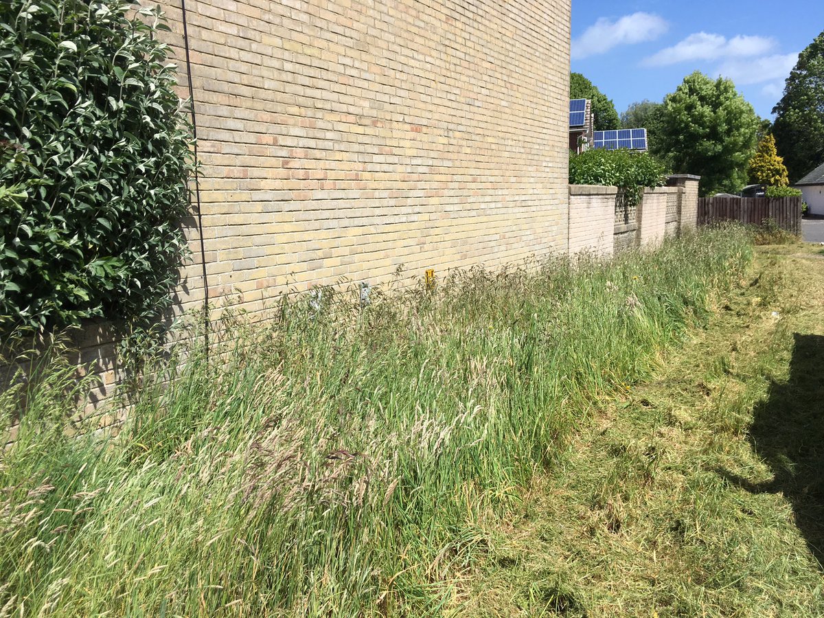 Hey <a href="/bcpcouncil/">BCP Council</a> and <a href="/idverdeuk/">idverde UK</a>. What’s the strategy behind this mowing technique? Surely useable, local green space is vital during #Covid lockdown to save people travelling to open spaces. #bh8 #bournemouth #mowing