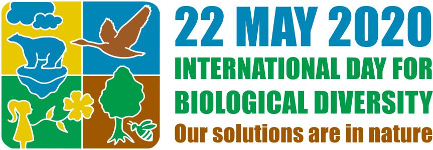 #BiodiversityDay ricorda importanza di #salvaguardia #specie esistenti e #risorsenaturali. La #ricerca su #ecosistemi è di fondamentale importanza, ma spesso #ricercatori #precari sono costretti a interrompere il loro #lavoro a causa scadenza di contratti. #bastaprecariatodistato