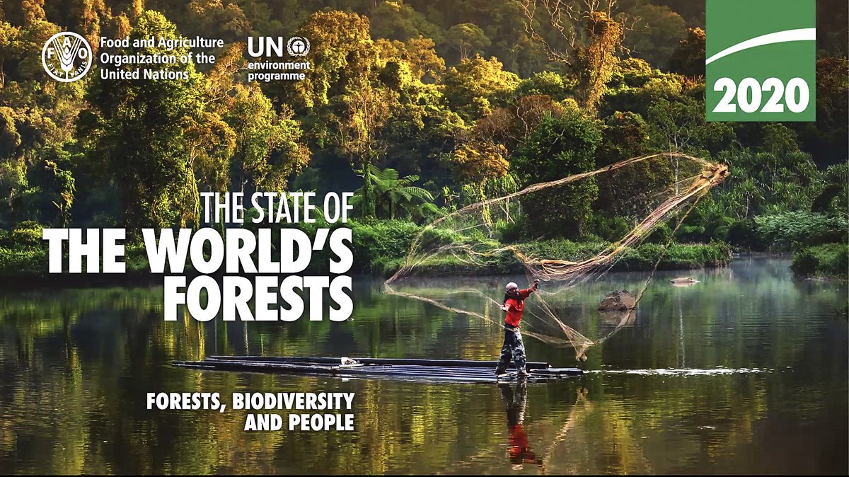 Today is #BiodiversityDay. I launched State of the World’s Forests report w/ <a href="/andersen_inger/">Inger Andersen</a>, 1st time FAO &amp; <a href="/UNEP/">UN Environment Programme</a> prepare SOFO jointly. Forests are a vital part of our ecosystems &amp; biodiversity. We need reverence for nature &amp; good use of science to restore human-nature balance.