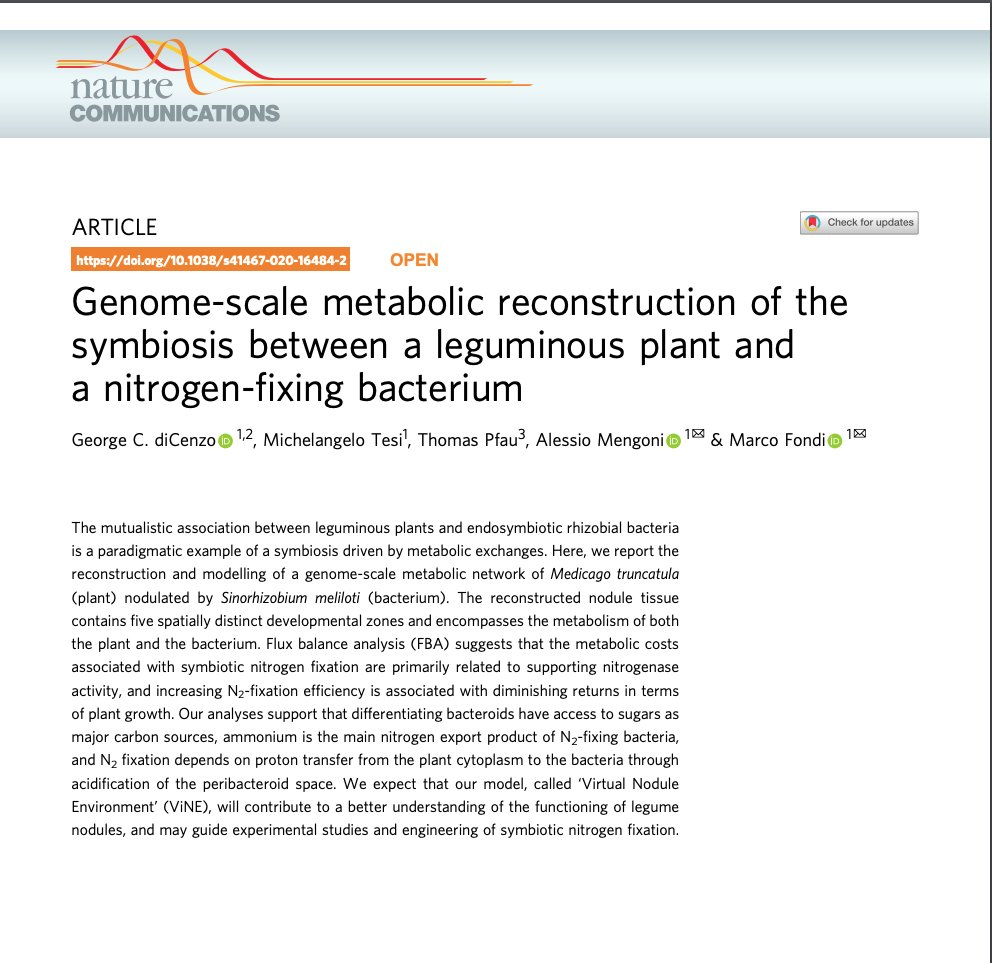 mrcfnd's tweet photo. Really happy to share our new paper about a plant-bacterium integrated metabolic reconstruction. With 
@George_diCenzo @alessiome73  Michelangelo Tesi and Thomas Pfau. https://t.co/VJQzyuvPQH
