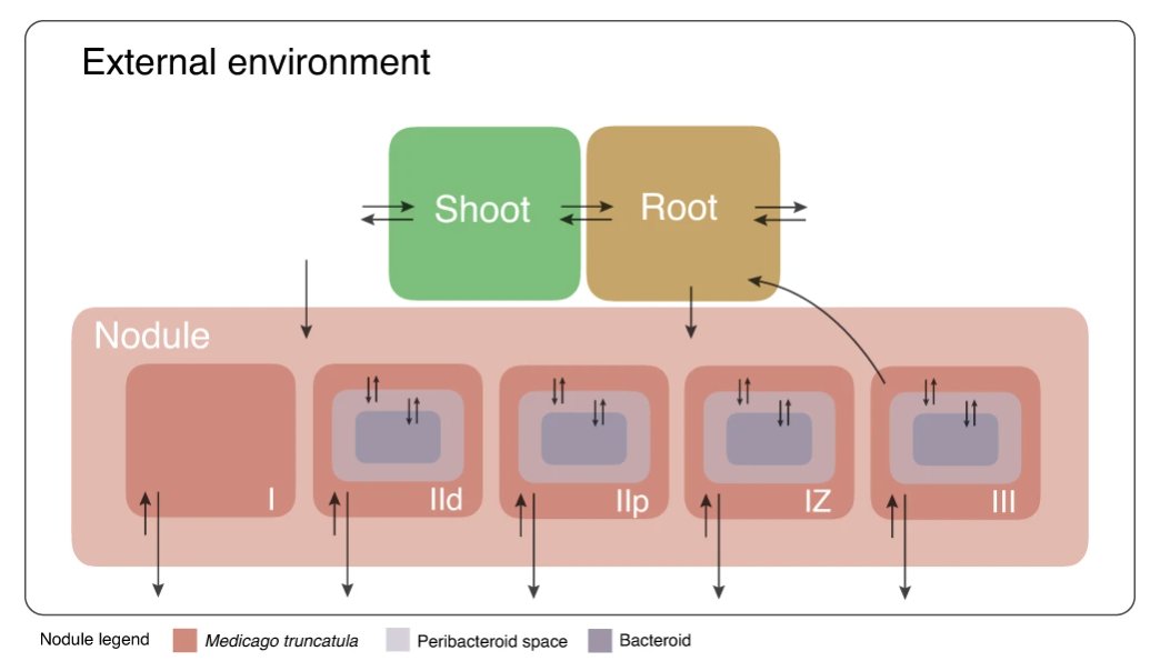 Marco Fondi (@mrcfnd) on Twitter photo Really happy to share our new paper about a plant-bacterium integrated metabolic reconstruction. With
<a href="/George_diCenzo/">George C diCenzo</a> @alessiome73 Michelangelo Tesi and Thomas Pfau. Really happy to share our new paper about a plant-bacterium integrated metabolic reconstruction. With
<a href="/George_diCenzo/">George C diCenzo</a> @alessiome73 Michelangelo Tesi and Thomas Pfau.