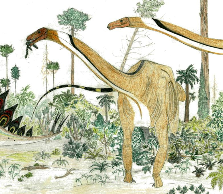 I set out the 'Too Many Damn Dinosaurs!' contention in this  #TetZoo article, Part 1 in the series ...  http://tetzoo.com/blog/2020/4/17/stop-saying-that-there-are-too-many-sauropod-dinosaurs-part-1  #dinosaurs