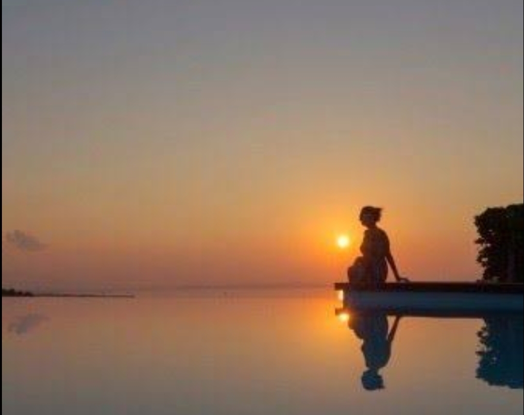 El mundo no tiene tu felicidad, tú la tienes. El secreto está en poner tu atención, no en el exterior, sino en ti, en tu esencia.
#PrimeroTú