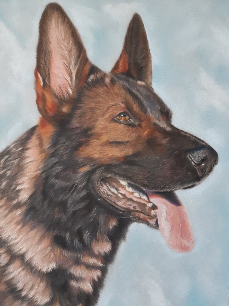 riamarialew15's tweet photo. I have this German shepherd pastel  portrait up for raffle over on my artist page on Facebook. Just £1 for a number and all proceeds are going to an animal charity. There is free Uk postage but postage is to be paid anywhere else.

https://t.co/fEjFphyXiX https://t.co/kRKC8vaQkK