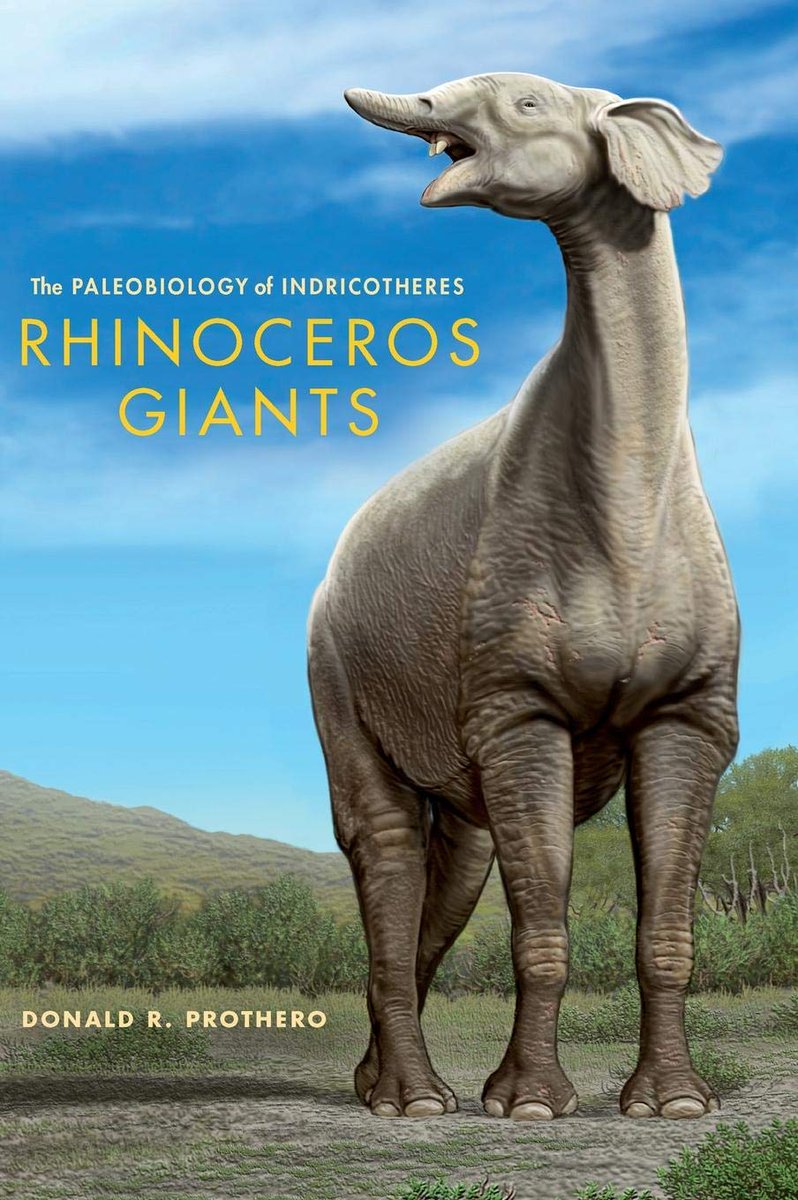 In any case, the mammals which Prothero pointed to are not 'standalones', but clusters of species (yes, even Paraceratherium). In fact Don Prothero's 2019 dinosaur book says stuff which contradicts his 2013 book on Paraceratherium...  #fossilmammals