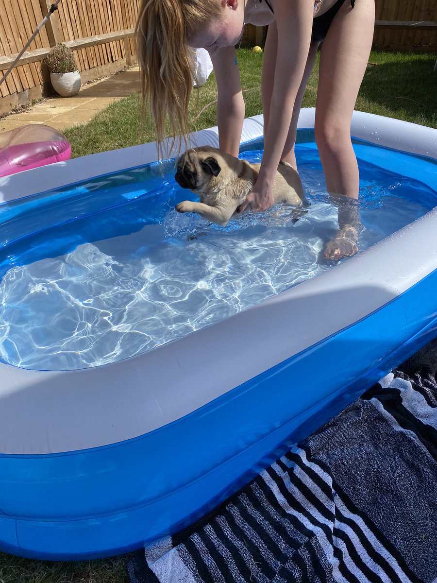 lisa12349jane's tweet photo. @itspawtytimeuk Learning to swim ❤️😍 https://t.co/JDccMta8kz