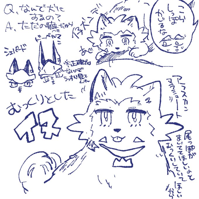 これもイヌ化
ダンキバ…? 