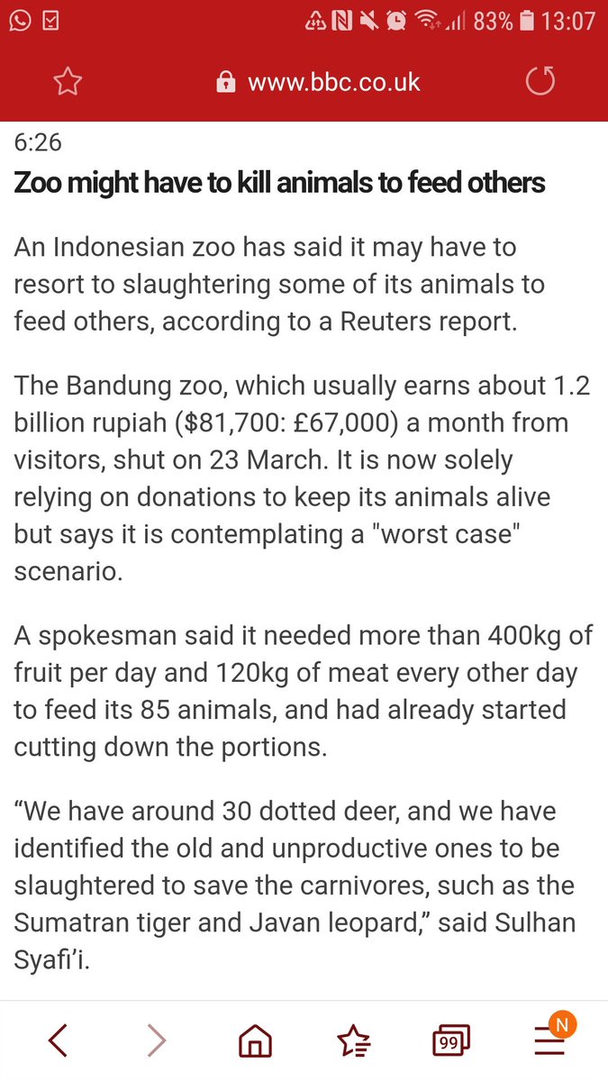 jenifermoorebfc's tweet image. Can you imagine them doing this @ #LondonZoo ?! #lockdownchallenges