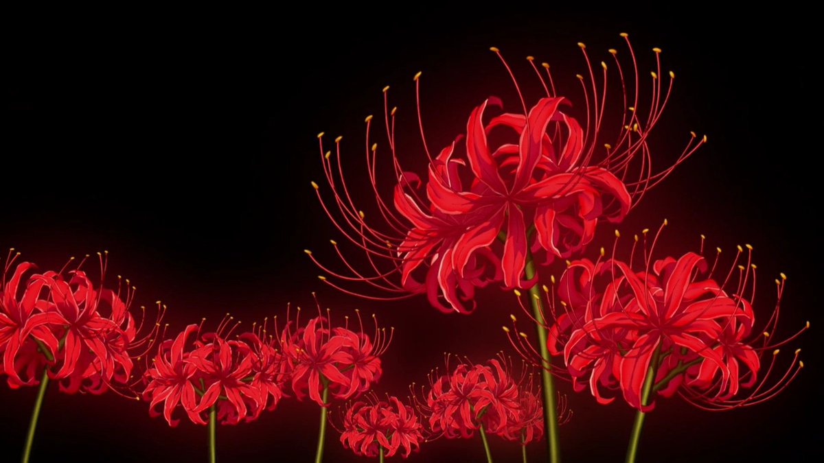 0ENE6's tweet photo. you know some sad shit is about to happen when this flower shows up in the anime you’re watching https://t.co/2dJSHkuiJg