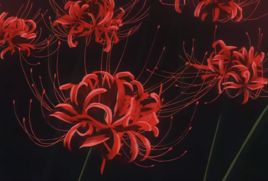 Kris You Know Some Sad Shit Is About To Happen When This Flower Shows Up In The Anime You Re Watching