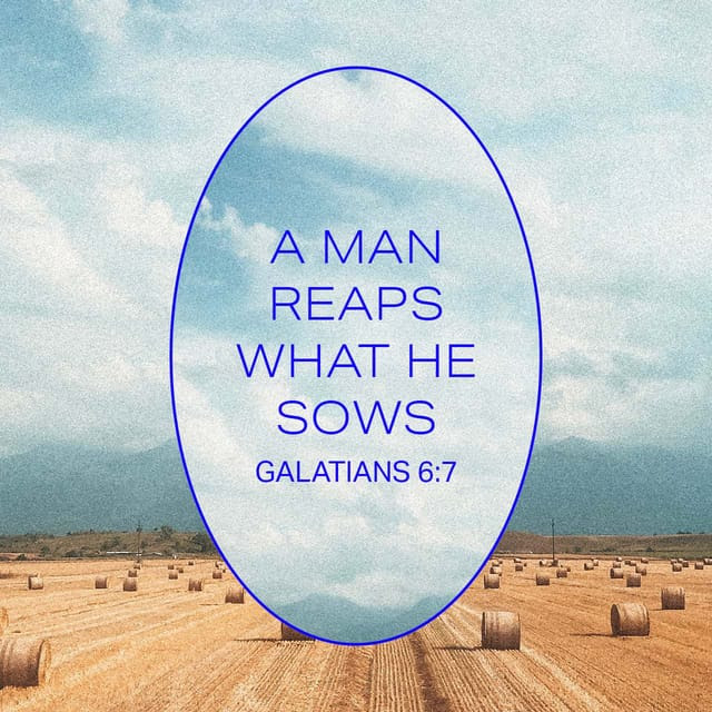 unionumcbk's tweet photo. ”Do not be deceived, God is not mocked; for whatever a man sows, that he will also reap.” - Galatians 6:7 (NKJV)

#Union #UMC #Bible
#VerseOfTheDay 
#Daily #Reminder https://t.co/bCPMj9M8if