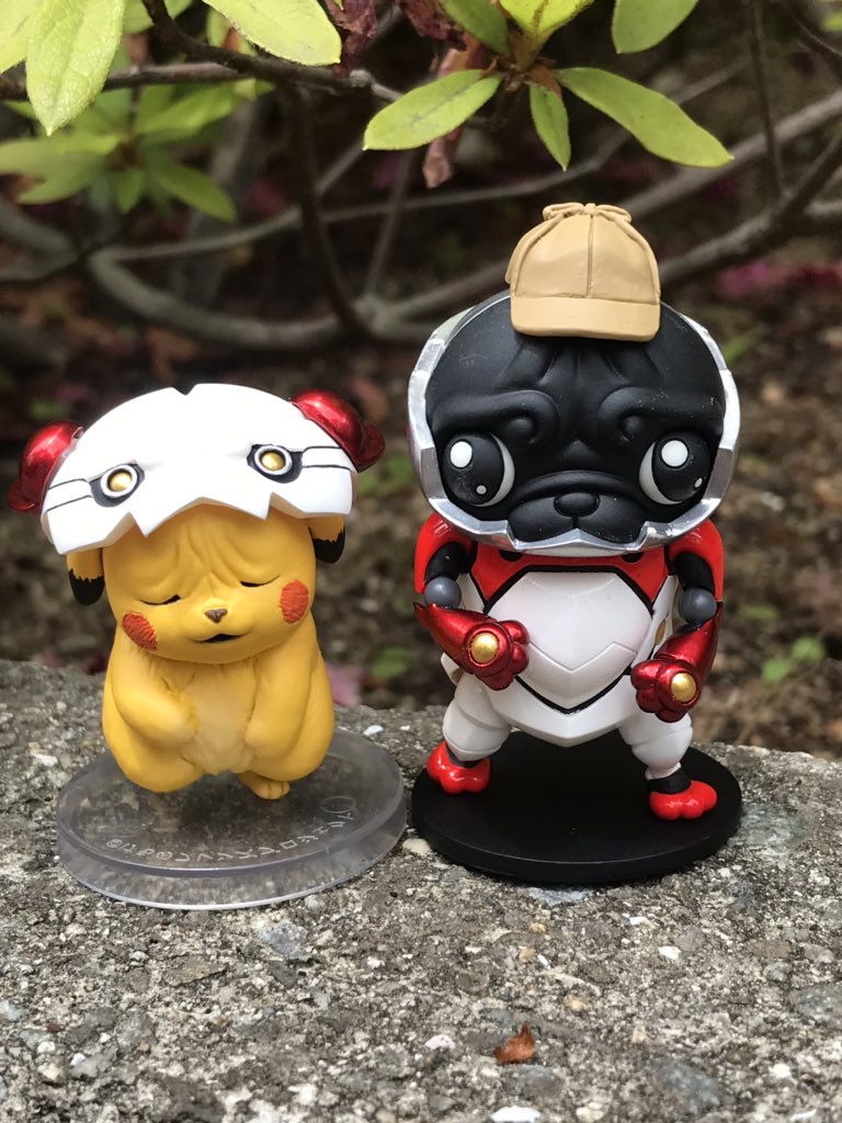 しわしわピカチュウ しわしわピカチュウ