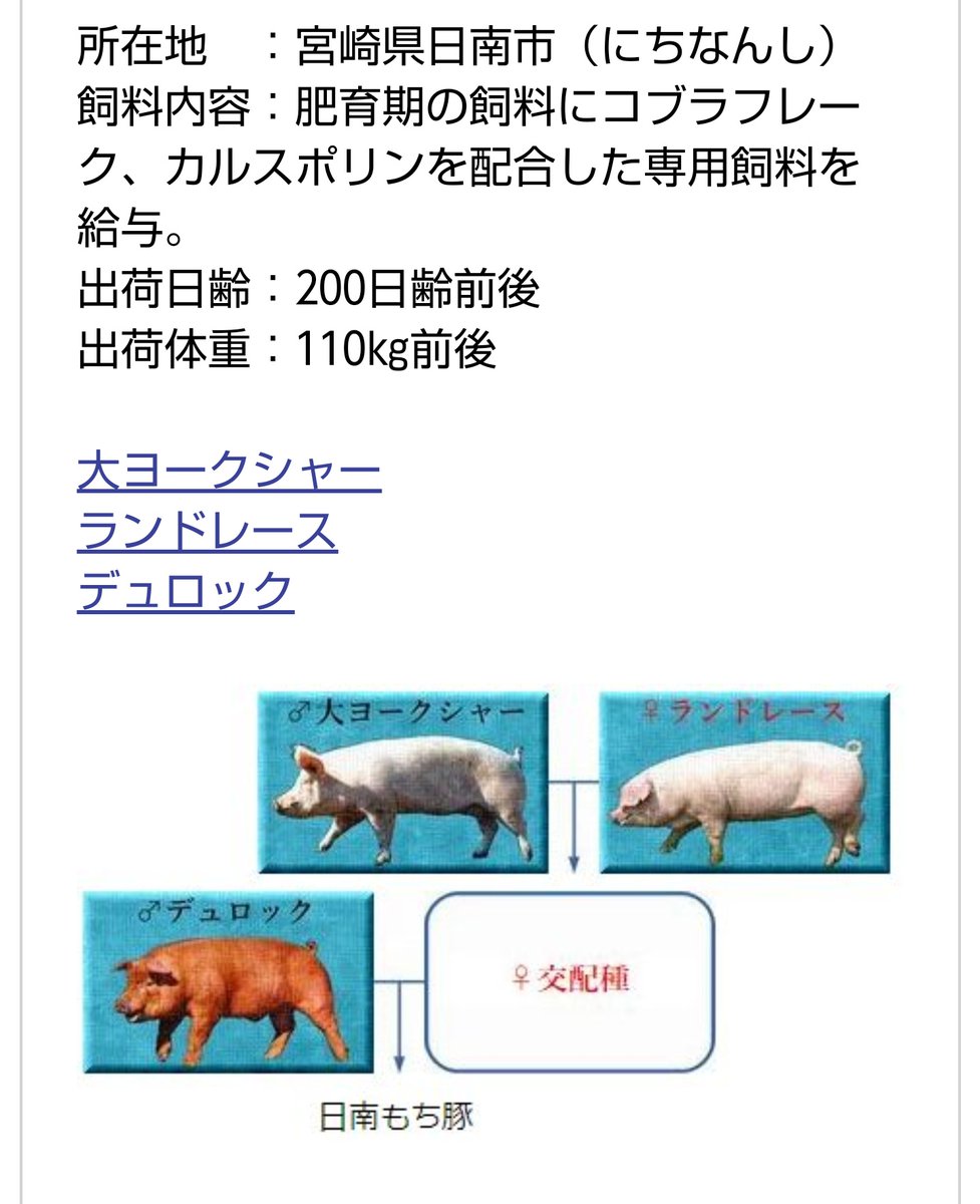 Twitter 上的 ポミエ 豚は全て 宮崎県産spf日南もち豚 になります カツ丼 トンカツ カツカレー 全て 日南もち豚を使用致します 脂身の甘さに赤身のうまさ 柔らかさのトータルバランス 確実な入荷を考え Spf日南もち豚 に決定しました 一