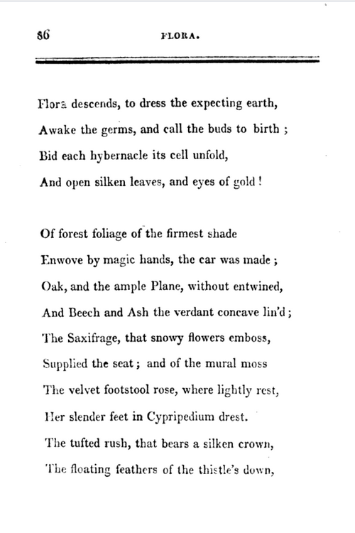 After working with  @Godwin_lives on some letters of Charlotte Smith, I have started to explore the poet's floristic universe; this thread annotates a section from Flora (1804, 1807) to understand how/where might she have known the plants she mentions 1/13  https://www.euppublishing.com/doi/abs/10.3366/rom.2020.0443