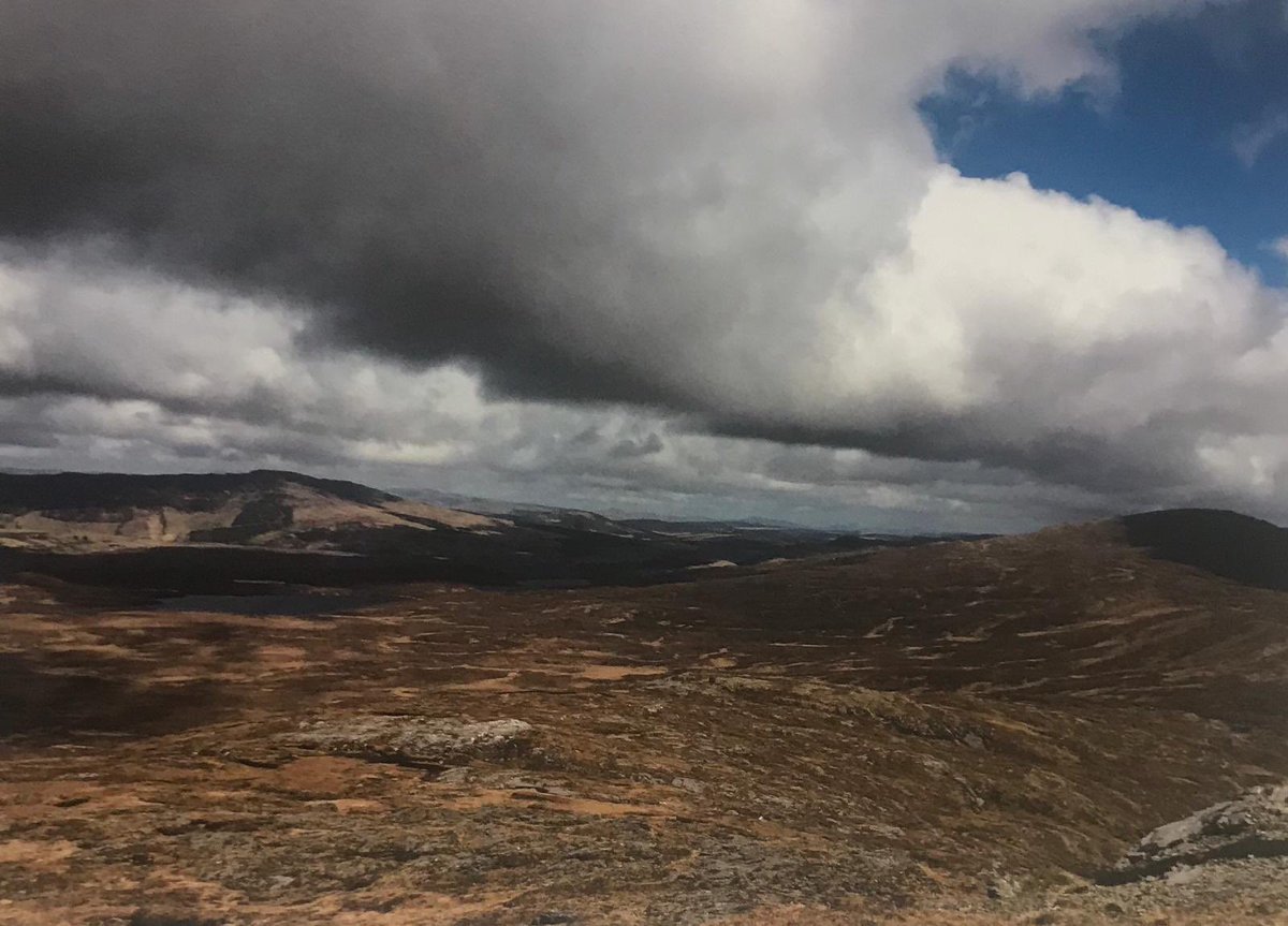 seamusburns2's tweet photo. From Lough Nillan in Donegal to Garron Plateau in Antrim to Muirkirk in SW Scotland, and those in between, peatland conservation happening through CABB, thanks to our working Partnerships⁩ ⁦@RSPBNI⁩ ⁦⁦@SEUPB⁩ @daera_ni⁩ ⁦⁦@BirdWatchIE⁩ (1/2) https://t.co/PIo4QIstzh