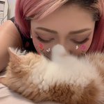 亡くなった人のtwitterアカウント 最後のツイート Togetter