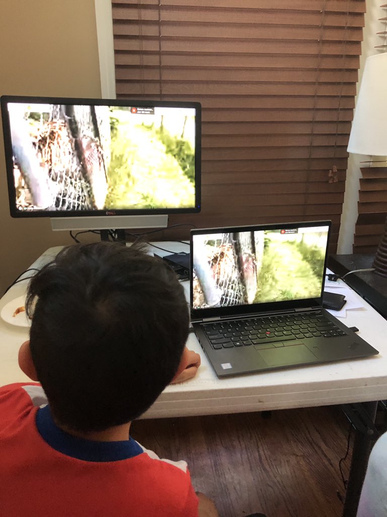 misshobbs5's tweet photo. Shout out to Katie @NCTigerRescue for an awesome virtual field trip of the Carolina Tiger Rescue!  Our 5th graders had a great experience! 🐅😃 
@MrsBeickert @aowenSRE @mrslewitt @amcmanus612 @jenhickcox @mleach2 @ScottsRidgeES https://t.co/L311O7ZNed