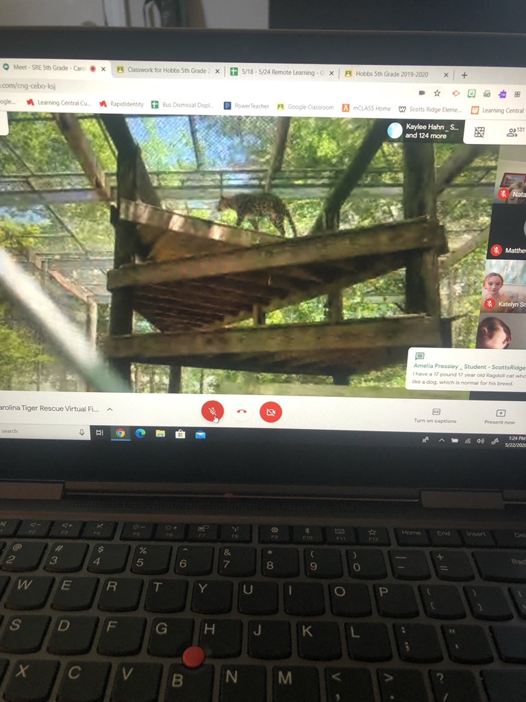 misshobbs5's tweet photo. Shout out to Katie @NCTigerRescue for an awesome virtual field trip of the Carolina Tiger Rescue!  Our 5th graders had a great experience! 🐅😃 
@MrsBeickert @aowenSRE @mrslewitt @amcmanus612 @jenhickcox @mleach2 @ScottsRidgeES https://t.co/L311O7ZNed