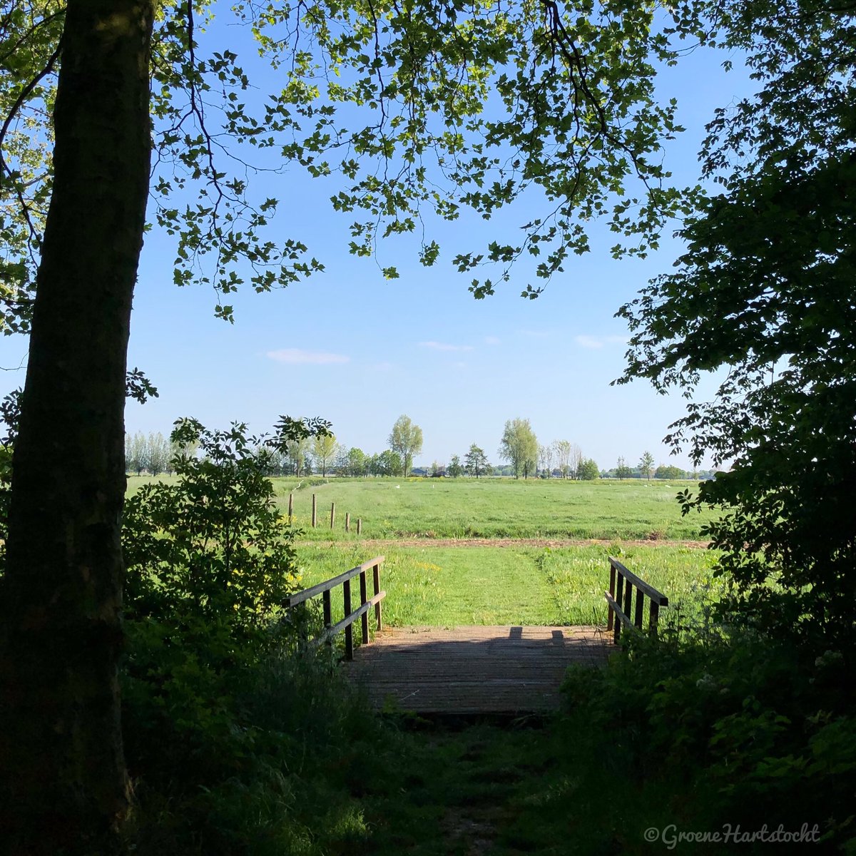 Groenehartstoc1's tweet photo. Een verscholen stukje natuur om helemaal tot rust te komen #Wilhelminashof, ook wel bekend als het #bosplan #Benschop Helaas ligt het geΓ―soleerd, alleen bereikbaar uit Benschop er is geen verbinding richting het zuiden. Dat maakt opnemen in een route moeilijker. #GroeneHartstocht https://t.co/TmwP2UiYOx