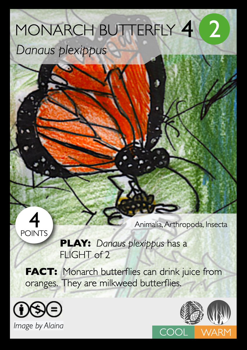 Ng_Dave's tweet photo. These make me so happy!! Another awesome Phylo card!  This one by Alaina who is Grade 2.  Great job Alaina!! 1/n

#biodiversity #DIYcardgame #schoolathome https://t.co/CFtErVcIl4