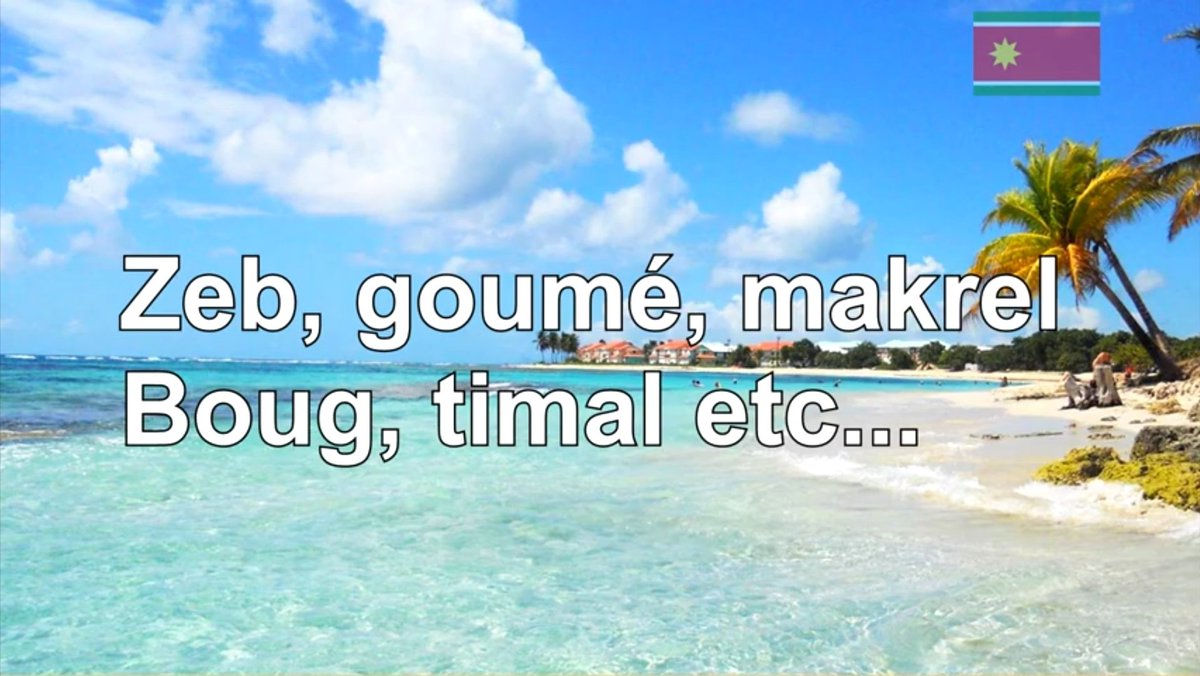 Dailleurs timal est pas le seul mot creole a être plus ou moins rentrer dans l'argot en FranceZeb goumé makrel boug ...