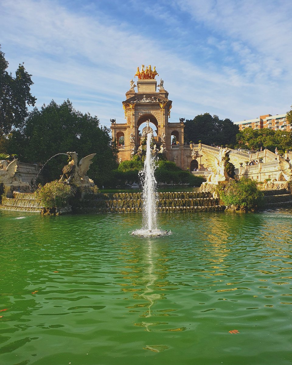 autofocus_photo's tweet photo. Miss Barcelona 😍 https://t.co/POWzRq1TBm