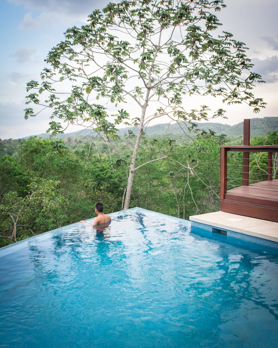 The view from your private infinity pool at Kukulkan Villa, is truly stunning. 👌😍🌳🌿🍃👣 
.
.
Book your jungle retreat now: isai@kukulkanvilla.com
#fridayvibes #rainforestluxury #junglevilla #beonewithnature #jungleretreat #discoverbelize #adventure #jungle #poolside #vacation