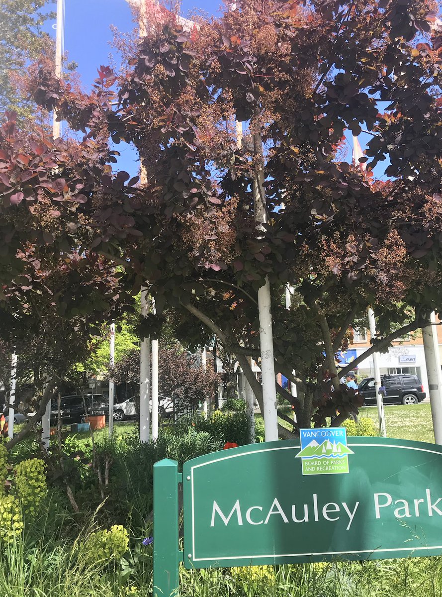 10. MCAULEY PARK- You know that weird triangle area at Kingsway/Fraser? Well it's a tiny park and it's charming!- Big overhanging tree gives shade, neat little tables, neighbourhood appropriate monument to Vietnamese Boat People- Too little for kids and too much car noise
