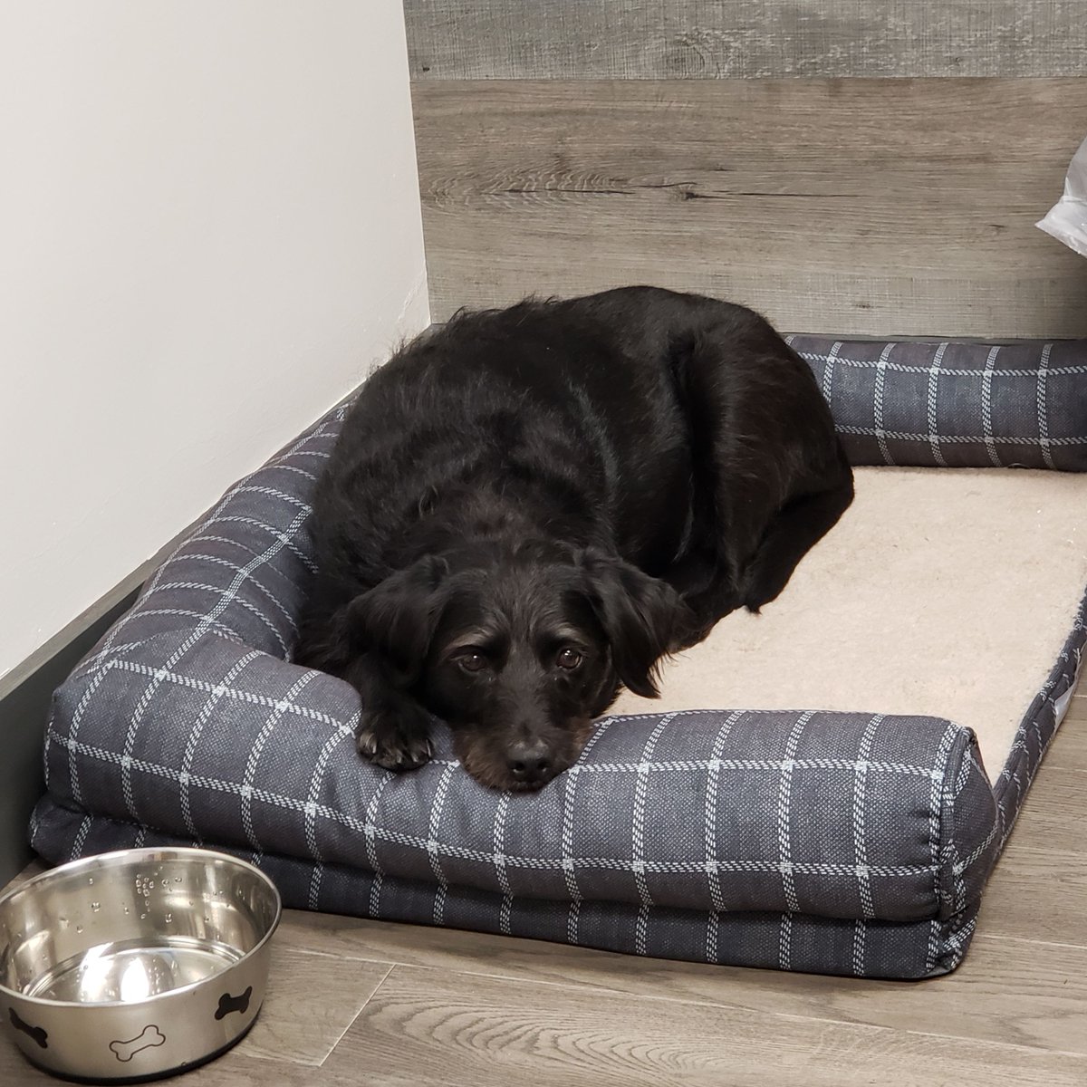 We manufacture both stock and custom plastic bottles ranging from 1/2 oz to 5 gallons in size. We have the expertise and versatility to handle your packaging, cap, and decorating requirements and are committed to being your “one-stop-shop.” 
#PackagingProducts
#RuffFridays