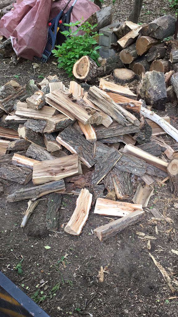 marcusbarden's tweet photo. Chopping firewood... https://t.co/3AF3qEmMGs