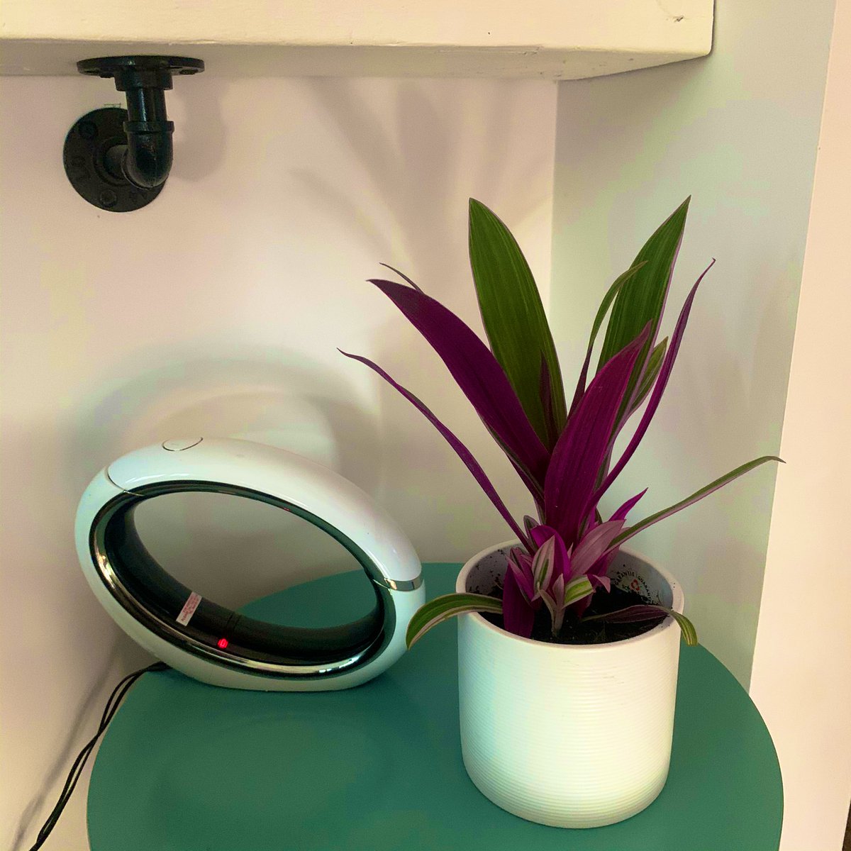 jamesenjoyrelax's tweet photo. Lovely delivery received from @patch_plants today - this little medley of new #houseplants - all vibrant and great quality, now all repotted and in their various new homes about the house!
๐ก ๐ฑ ๐ฆ ๐ฑ๐ฆ๐ฑ๐ฆ๐๐๐
.
#patchplants #houseplantclub #plant #plantdelivery https://t.co/hw0oR17bMa
