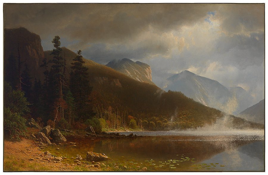 Smith College Museum of Art tweet media