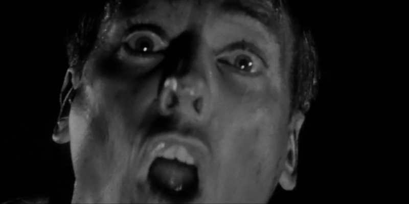 Barry_Cinematic's tweet photo. Favorite Sci-Fi, Day 22: Invasion of the Body Snatchers (1956) - Director Don Siegel's chilling adaptation of Jack Finney's novel added the term “pod people” to our pop culture consciousness, in a classic tale of individualism versus conformity. https://t.co/gkqqj0jf9t