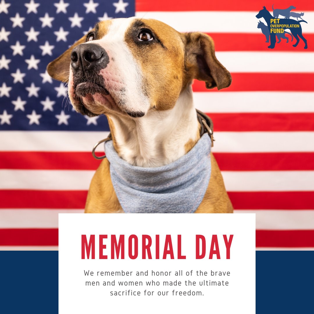 Colorado Pet Overpopulation Fund (@copetfund) on Twitter photo 