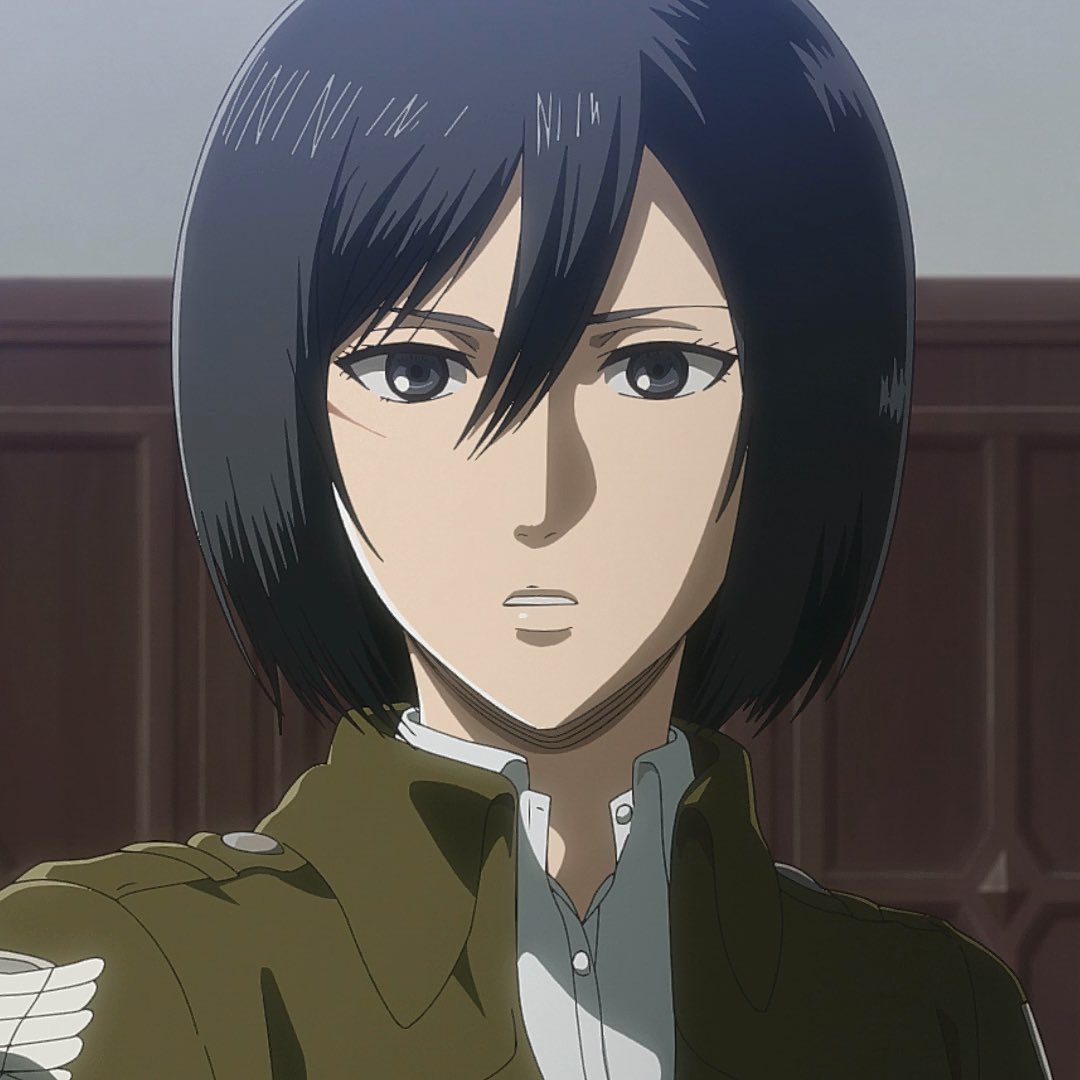 Mikasa v Touka