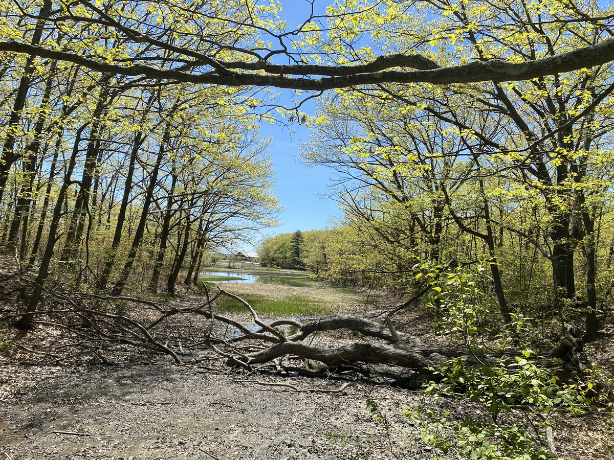 It’s been a while! May! – bei  Fore River Trail