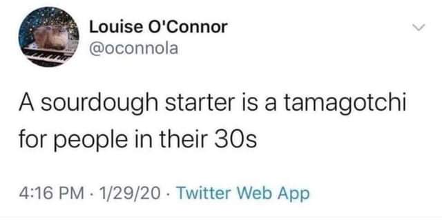 Emily tweet media