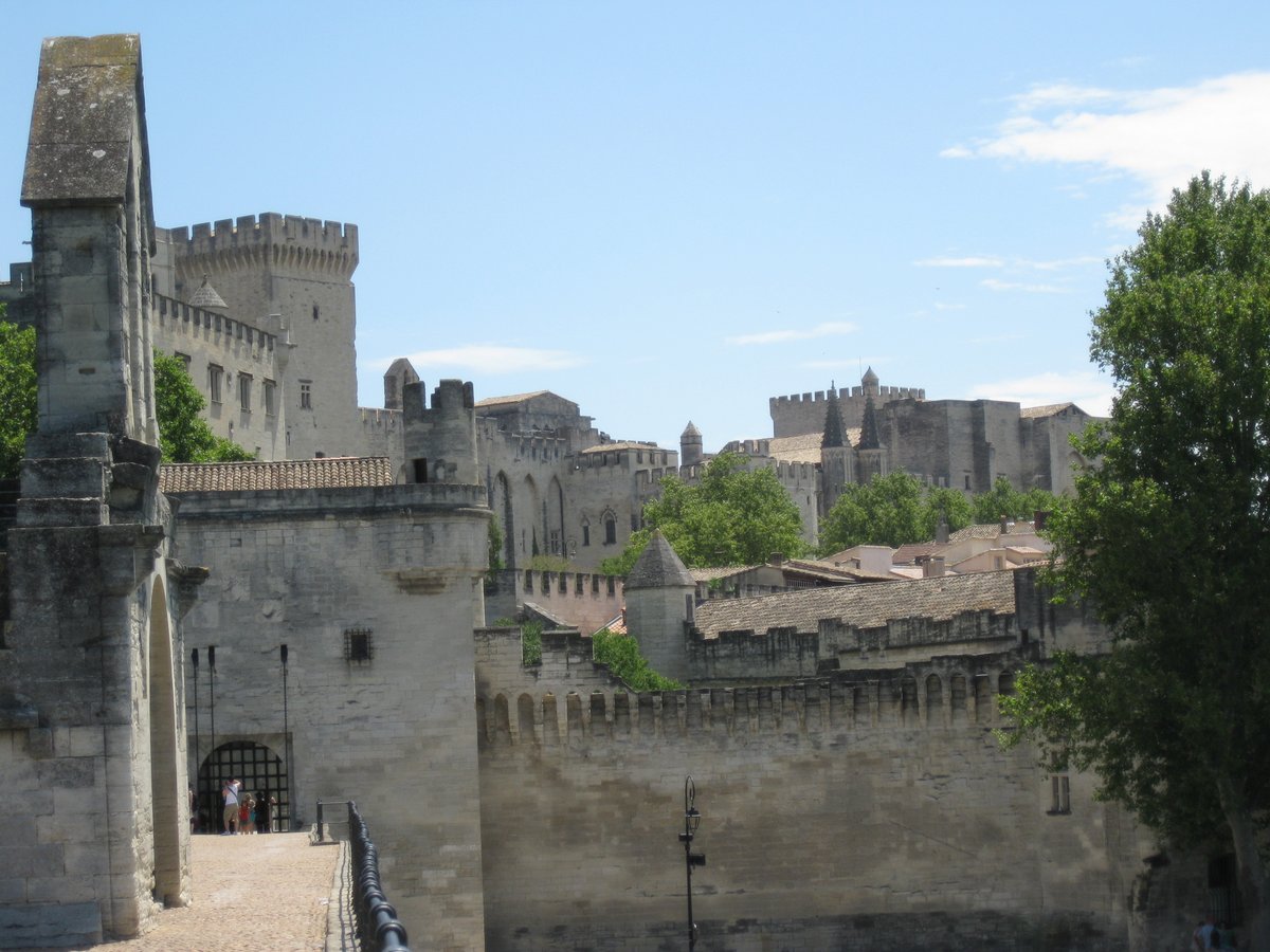 From Tarascon we moved on to Avignon, where my mother was very focused with singing a song she learned in French class on the bridge.That's right, it is literally a bridge to nowhere, it does no cross the river
