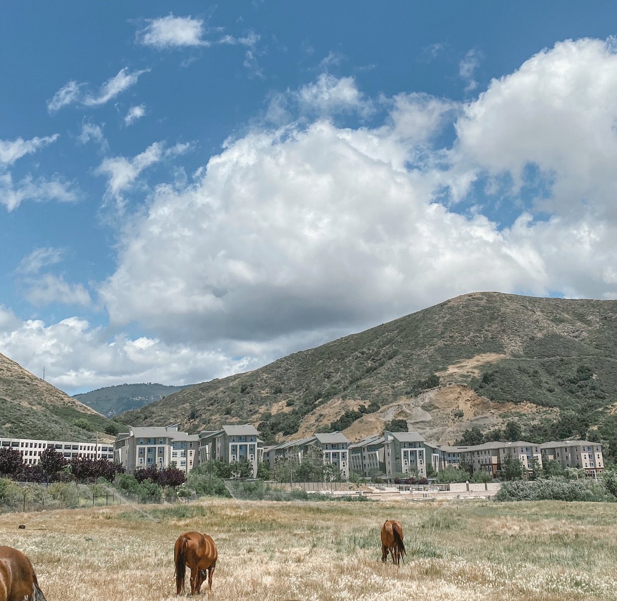 CalPoly's tweet photo. Friday ☀️ https://t.co/O2nt41218U