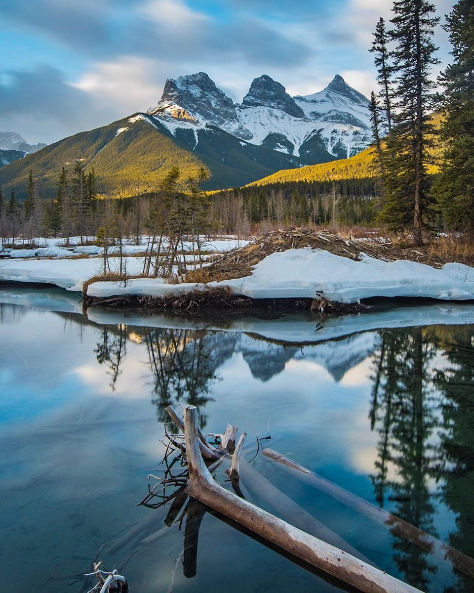 squid59_'s tweet photo. Quel saison préfèrez vous??? #albarta #canmore #threesisters https://t.co/QkDvurrX1M